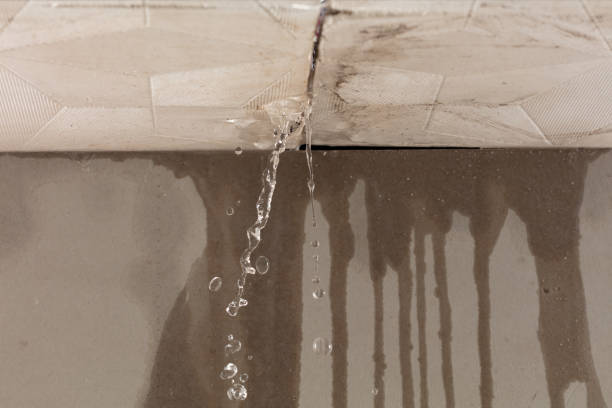 Professional Flood Damage Cleanup technician working in The Plains, VA